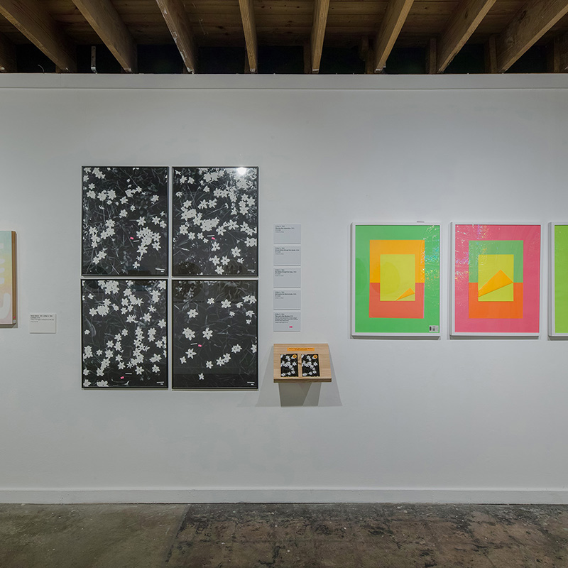 installation view 22